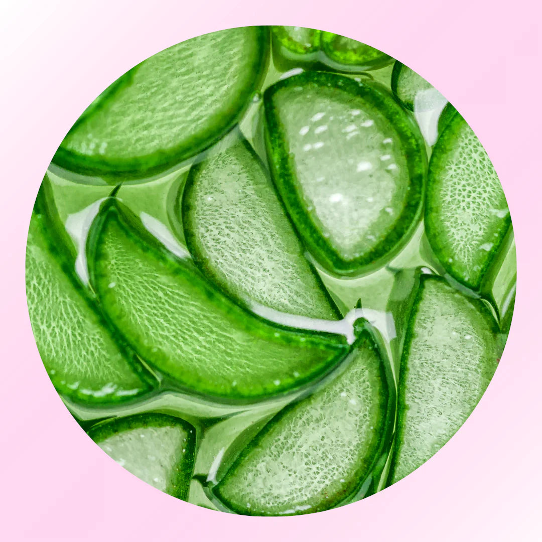 <h3>Aloe Extract</h3>